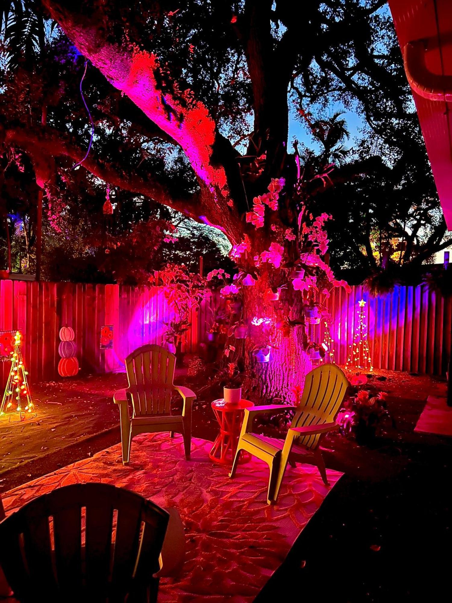 Private Guest House Μαϊάμι Εξωτερικό φωτογραφία